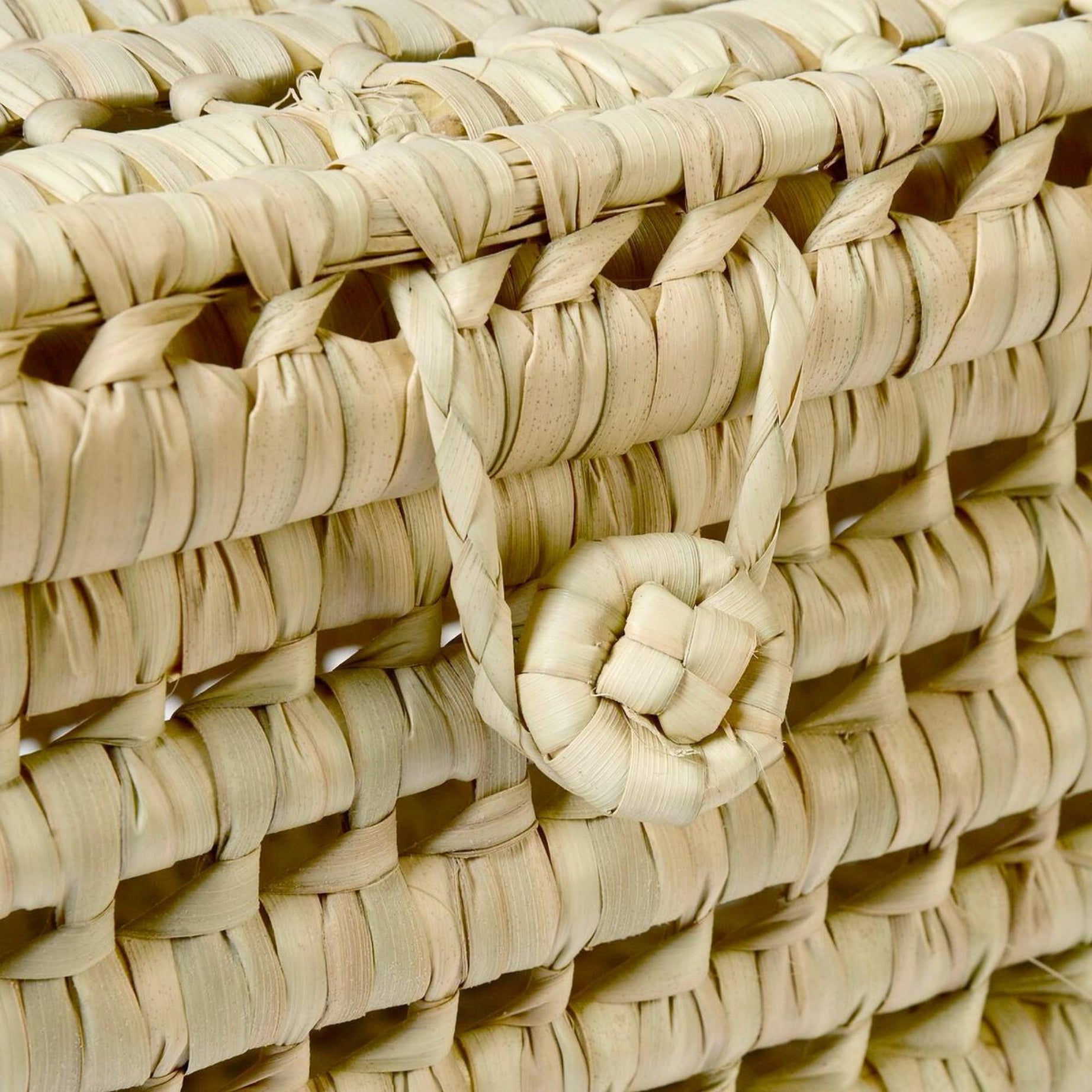 Palm Leaf Storage Trunk Lidded Toy Box - Large Wicker Storage 31 Inches