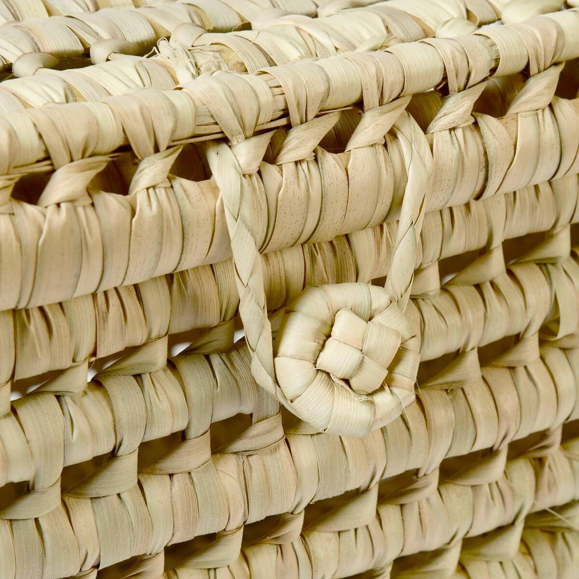 Palm Leaf Storage Trunk Lidded Toy Box - Large Wicker Storage 31 Inches